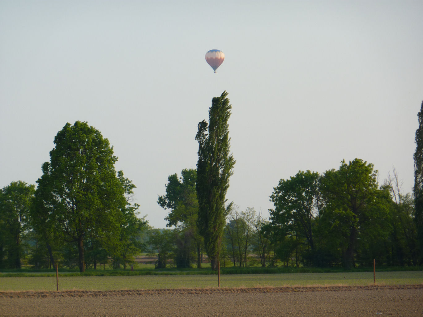 Volando sul canile